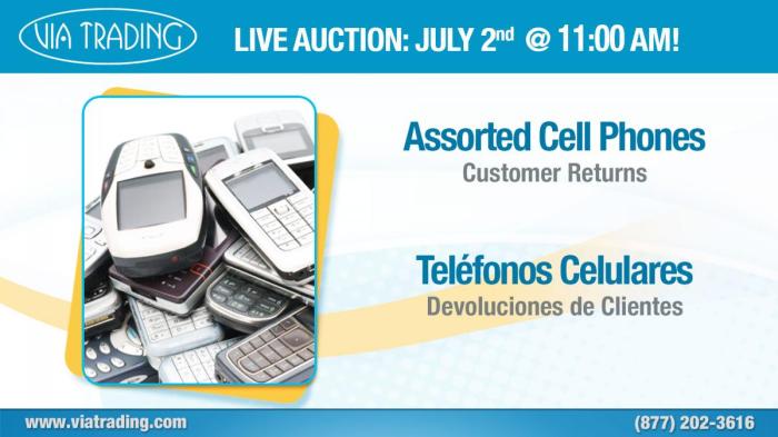 Wholesale Liquidation Auctions | Via Trading